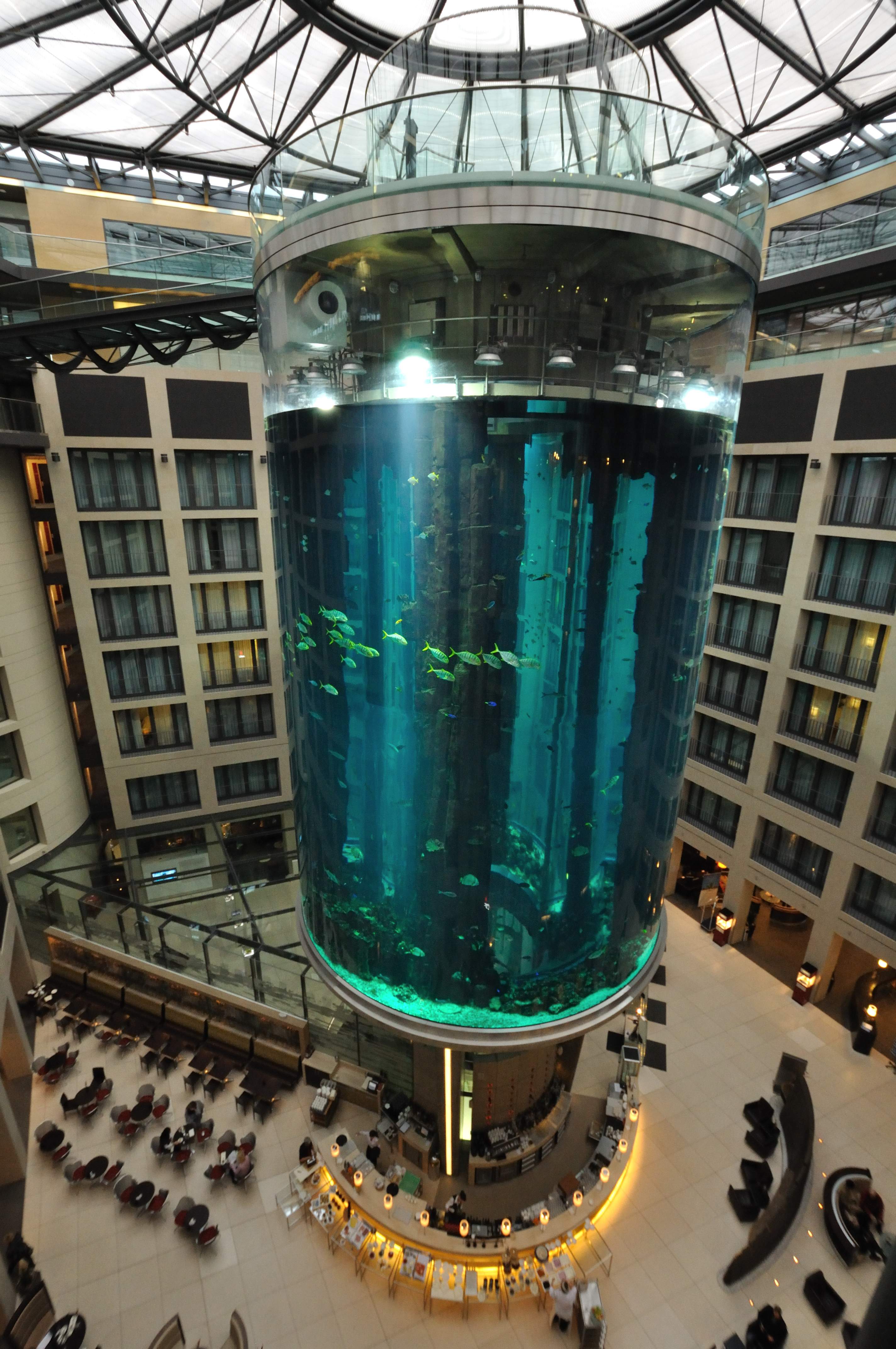 베를린 수족관 (Aquarium Berlin)